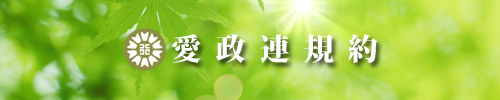 愛政連規約